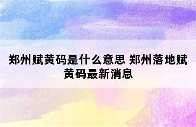 郑州赋黄码是什么意思 郑州落地赋黄码最新消息